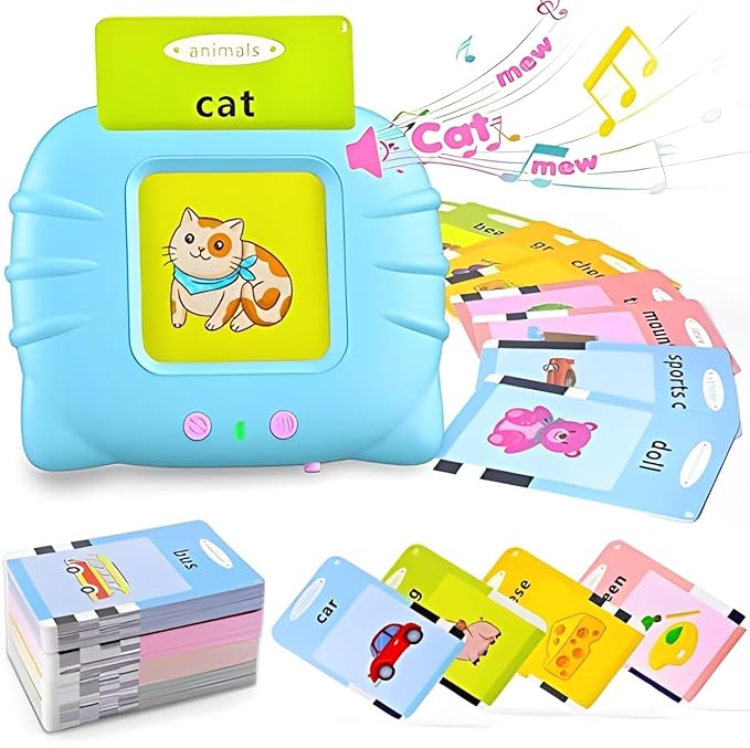Card Insertion Learning Toy